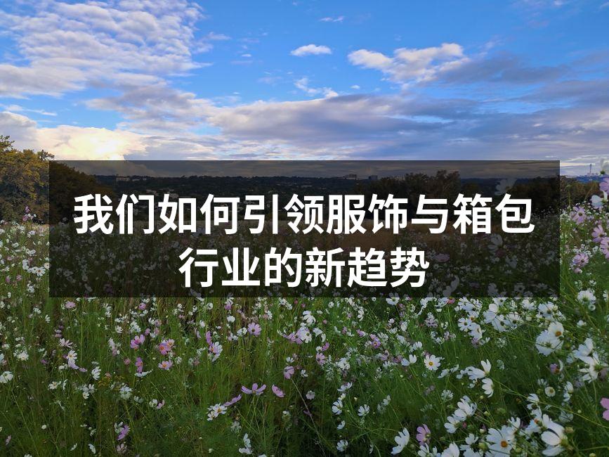 我们如何引领服饰与箱包行业的新趋势